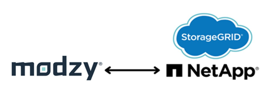 NetApp and Modzy