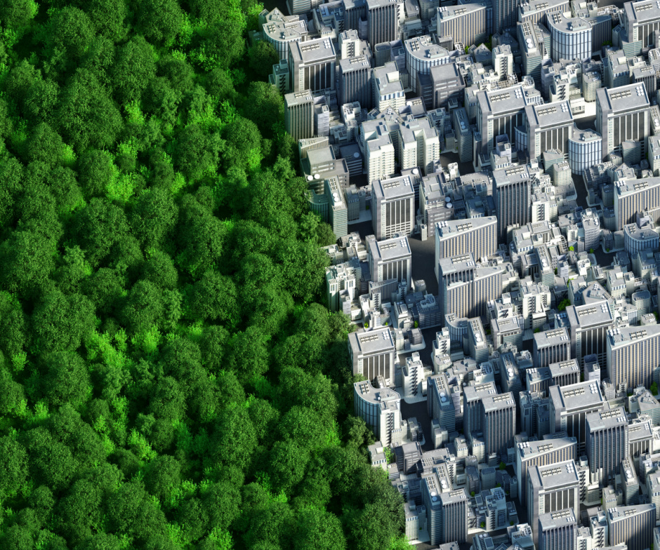 arial view of the border between a forest and dense cityscape